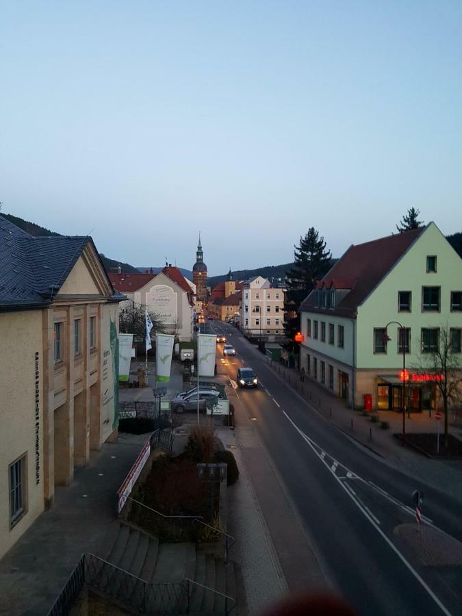 Appartments Endler Bad Schandau Bagian luar foto
